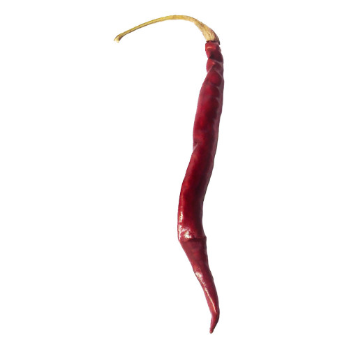 Árbol dried Mexican chilli