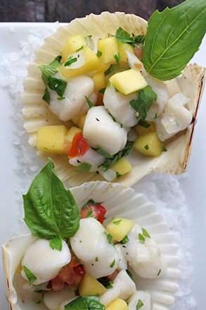 Bay Scallop Ceviche