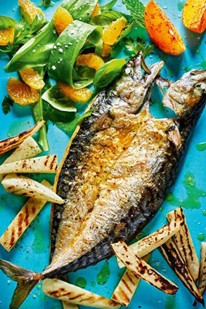 Grilled Mackerel