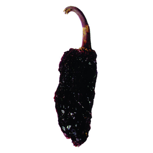 Morita dried Mexican chilli