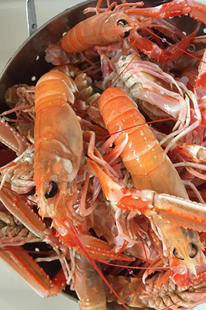 Red Langoustines